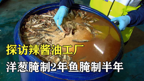 探訪辣醬油工廠 洋蔥要腌制2年,魚要腌制半年