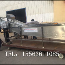  蒼山縣雙福蔬菜加工廠(chǎng) 主營(yíng) 保鮮牛蒡 腌制牛蒡