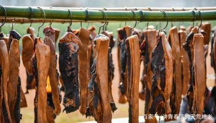 臘肉 致癌還是健康？科學視角下的腌制鹽分析