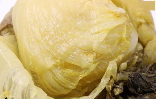 鹽之妙手 揭秘網紅拉面靈魂，酸香麻辣背后的腌制密碼